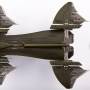 albatross_9.jpg