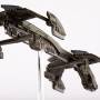 condor-5.jpg