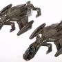 raven_b-1.jpg