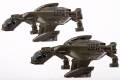 raven_b-3.jpg